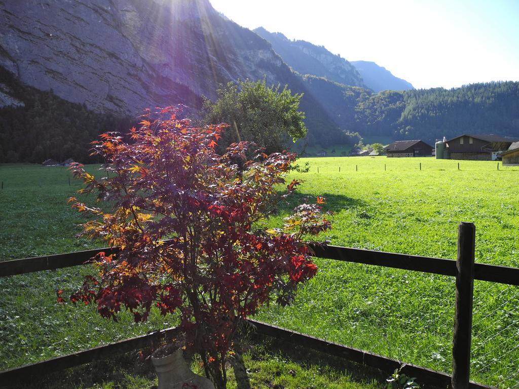 Mountain Lodge Urweider Innertkirchen Exterior photo