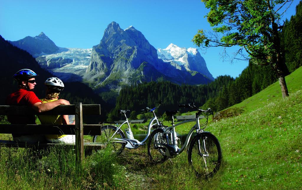 Mountain Lodge Urweider Innertkirchen Exterior photo